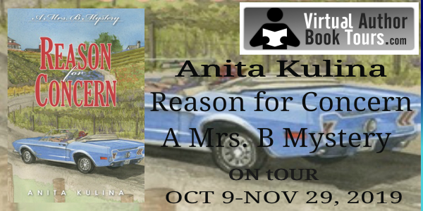 Reason for Concern: Mrs. B Mystery by Anita Kulina