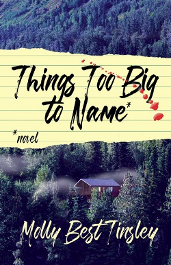 Things Too Big To Name by Molly Best Tinsley